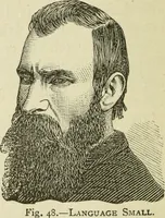 Picture 50 of 119 from Brain and mind; or, Mental science considered in accordance withthe principles of phrenology, and in relation to modern physiology (1882), leaf 123