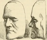 An illustration from Brain and mind; or, Mental science considered in accordance withthe principles of phrenology, and in relation to modern physiology (1882)