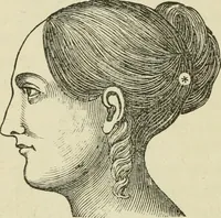 An illustration from Brain and mind; or, Mental science considered in accordance withthe principles of phrenology, and in relation to modern physiology (1882)