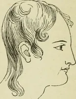 An illustration from Brain and mind; or, Mental science considered in accordance withthe principles of phrenology, and in relation to modern physiology (1882)