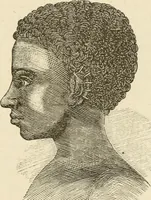 An illustration from Brain and mind; or, Mental science considered in accordance withthe principles of phrenology, and in relation to modern physiology (1882)