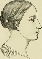 An illustration from Brain and mind; or, Mental science considered in accordance withthe principles of phrenology, and in relation to modern physiology (1882)