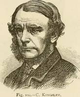 Picture 104 of 119 from Brain and mind; or, Mental science considered in accordance withthe principles of phrenology, and in relation to modern physiology (1882), leaf 218