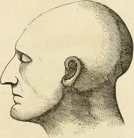 An illustration from Brain and mind; or, Mental science considered in accordance withthe principles of phrenology, and in relation to modern physiology (1882)