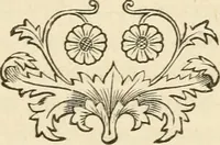 Picture 5 of 119 from Brain and mind; or, Mental science considered in accordance withthe principles of phrenology, and in relation to modern physiology (1882), leaf 42