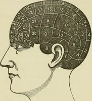 Picture 19 of 119 from Brain and mind; or, Mental science considered in accordance withthe principles of phrenology, and in relation to modern physiology (1882), leaf 71