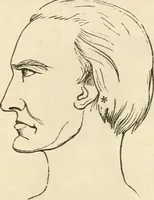 An illustration from Brain and mind; or, Mental science considered in accordance withthe principles of phrenology, and in relation to modern physiology (1882)