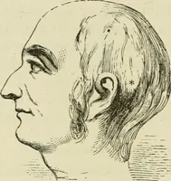 An illustration from Brain and mind; or, Mental science considered in accordance withthe principles of phrenology, and in relation to modern physiology (1882)