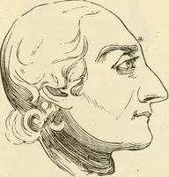 An illustration from Brain and mind; or, Mental science considered in accordance withthe principles of phrenology, and in relation to modern physiology (1882)