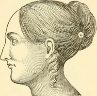 An illustration from Brain and mind : or, Mental science considered in accordance with the principles of phrenology, and in relation to modern physiology (1895)