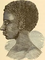 An illustration from Brain and mind : or, Mental science considered in accordance with the principles of phrenology, and in relation to modern physiology (1895)