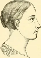 An illustration from Brain and mind : or, Mental science considered in accordance with the principles of phrenology, and in relation to modern physiology (1895)