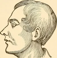 An illustration from Brain and mind : or, Mental science considered in accordance with the principles of phrenology, and in relation to modern physiology (1895)