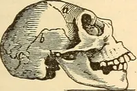 An illustration from Brain and mind : or, Mental science considered in accordance with the principles of phrenology, and in relation to modern physiology (1895)