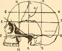 An illustration from Brain and mind : or, Mental science considered in accordance with the principles of phrenology, and in relation to modern physiology (1895)