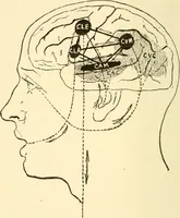 An illustration from Brain and mind : or, Mental science considered in accordance with the principles of phrenology, and in relation to modern physiology (1895)