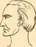 An illustration from Brain and mind : or, Mental science considered in accordance with the principles of phrenology, and in relation to modern physiology (1895)