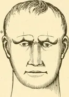 An illustration from Brain and mind : or, Mental science considered in accordance with the principles of phrenology, and in relation to modern physiology (1895)