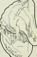 An illustration from Brain and personality; or, The physical relations of the brain to the mind (1910)
