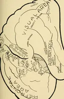 Picture 6 of 6 from Brain and personality; or, The physical relations of the brain to the mind (1906), leaf 192