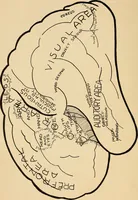 An illustration from Brain and personality; (1910)