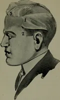 Picture 4 of 6 from Brains and how to get them (1913), leaf 198