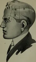 An illustration from Brains and how to get them (1913)
