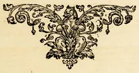 An illustration from Brandt in Brasilien (1648)
