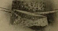 An illustration from Brantford wind mills (1905)