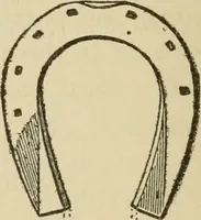 An illustration from Breeding, training, management and diseases of the horse and other domestic animals (1893)