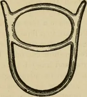 An illustration from Breeding, training, management and diseases of the horse and other domestic animals (1893)