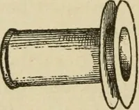 An illustration from Breeding, training, management and diseases of the horse and other domestic animals (1893)