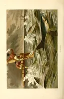 Picture 16 of 17 from Brehms Tierleben : allgemeine Kunde des Tierreichs : mit 1800 Abbildungen im Text, 9 Karten und 180 Tafeln in Farbendruck und Holzschnitt (1890), leaf 496