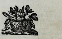 An illustration from Breue compendio di marauigliosi segreti approuati, e pratticati con felice successo nelle indispositioni corporali ... : con vn trattato bellissimo per conseruarsi in sanità ... (1660)