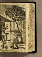 An illustration from Breue, e succinta relatione del viaggio nel regno di Congo nell' Africa meridionale, (1692)