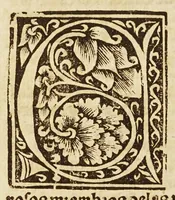 Picture 4 of 13 from Breuissima relacion de la destruycion de las Indias: (1552), leaf 10