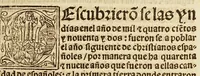 An illustration from Breuissima relacion de la destruycion de las Indias: (1552)