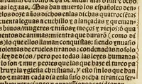 An illustration from Breuissima relacion de la destruycion de las Indias: (1552)