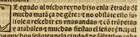 An illustration from Breuissima relacion de la destruycion de las Indias: (1552)