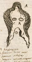 An illustration from Breve compendium philosophiae [manuscript] (1652)