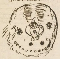 Picture 16 of 17 from Breve compendium philosophiae [manuscript] (1652), leaf 283
