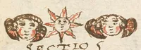 Picture 3 of 17 from Breve compendium philosophiae [manuscript] (1652), leaf 43