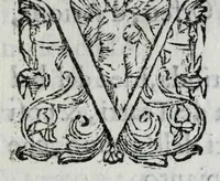 An illustration from Breve descrittione delle feste fatte dal serenissimo sig. prencipe di Mantoua : nel giorno natale della serenissima infanta Margherita : et nella venuta delli serenissimi prencipi di Savoia nella città di Casale, per veder detta signora & il sig. prencipe prima della lor partita per Mantoua (1611)