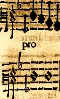Picture 37 of 54 from Breve instrvttione alli giovani per imparare con ogni facilità il canto fermo, divisa in dve parti. Nella prima s'assegano le regole svccinte d'esso canto, col vero modo di pratticarle. Il canto francescano, con vna regola al chorista per ben regger' il choro, ed vn' altra all' organista per lasciar in tono con l'organo i canti, ch' occorrono in tutto l'anno. Nella seconda si pone tvtt'il canto della Settimana santa con quello per la processione della purificatione della B.V. e quattro credi nel fine (1665), leaf 265