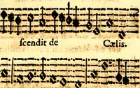 Picture 47 of 54 from Breve instrvttione alli giovani per imparare con ogni facilità il canto fermo, divisa in dve parti. Nella prima s'assegano le regole svccinte d'esso canto, col vero modo di pratticarle. Il canto francescano, con vna regola al chorista per ben regger' il choro, ed vn' altra all' organista per lasciar in tono con l'organo i canti, ch' occorrono in tutto l'anno. Nella seconda si pone tvtt'il canto della Settimana santa con quello per la processione della purificatione della B.V. e quattro credi nel fine (1665), leaf 274