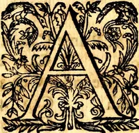 An illustration from Breve instrvttione alli giovani per imparare con ogni facilità il canto fermo, divisa in dve parti. Nella prima s'assegano le regole svccinte d'esso canto, col vero modo di pratticarle. Il canto francescano, con vna regola al chorista per ben regger' il choro, ed vn' altra all' organista per lasciar in tono con l'organo i canti, ch' occorrono in tutto l'anno. Nella seconda si pone tvtt'il canto della Settimana santa con quello per la processione della purificatione della B.V. e quattro credi nel fine (1665)