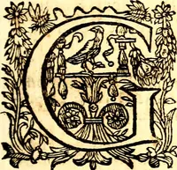 An illustration from Breve instrvttione alli giovani per imparare con ogni facilità il canto fermo, divisa in dve parti. Nella prima s'assegano le regole svccinte d'esso canto, col vero modo di pratticarle. Il canto francescano, con vna regola al chorista per ben regger' il choro, ed vn' altra all' organista per lasciar in tono con l'organo i canti, ch' occorrono in tutto l'anno. Nella seconda si pone tvtt'il canto della Settimana santa con quello per la processione della purificatione della B.V. e quattro credi nel fine (1665)
