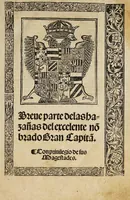 An illustration from Breve parte de las hazanas del excelente no[m]brado gran capita[n] : con privilegio de sus magestades (1527)