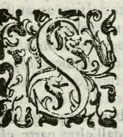 An illustration from Breve raguaglio del funerale fatto al sereniss. Vincenzo, che fù duca di Mantoua e di Monferrato, dal sereniss. signor duca Carlo I. suo zio e successore : nella ducal chiesa di Santa Barbara di Mantoua, il dì 18. di febraro 1628 (1628)