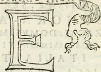 An illustration from Breve relatione dello sposalitio fatto della serenissima principessa Eleonora Gonzaga con la Sacra Cesarea Maestà di Ferdinando II. imperatore : et appresso, delle feste & superbi apparati fatti nelle sue imperiali nozze, così in Mantoua, come anco per il viaggio fino alla città d'Ispruch (1622)